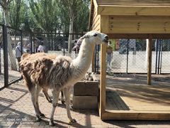 -长白岛森林公园