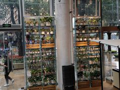 -MUJI无印良品(顺城店)