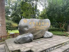 -青城山