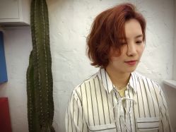 点击看大图 中发-SALON V