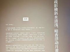 -上海K11购物艺术中心