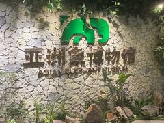 -野象谷景区