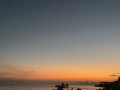 -深圳湾公园(南山区)