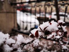 -长春世界雕塑园冰雪艺术天地