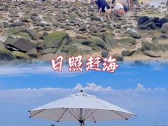-刘家湾赶海园