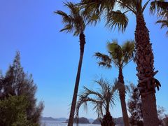 -普陀山风景名胜区-千步大沙