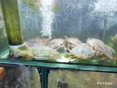 -来之顺海鲜菜馆·青岛菜(栈桥店)