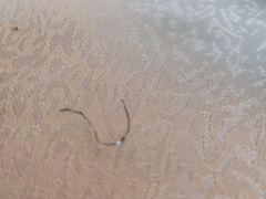 -老东吴食府(雅都店)