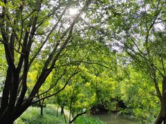 -华东政法大学(松江校区)