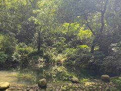 -句容茅山景区
