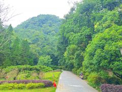 -缙云山景区
