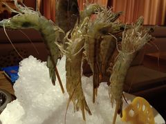 深水虾-尚海豆捞(乐虹坊店)