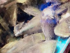 带子-林记生蚝·专注生蚝三十载(创意园店)