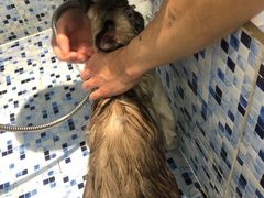 -FAELING PETS美天灵宠物(富力广场店)