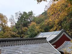 -北京上方山国家森林公园