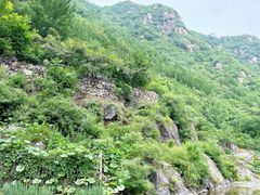 -灵溪风景区