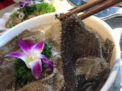 -DaLongYi Hotpot - 大龙燚火锅 - 地道四川老火锅