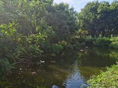 -长白岛森林公园