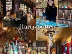 -雪灵魔法世界SHELLY’S TAROT(大良桂畔里店)
