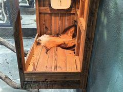 -宁波野生动物园