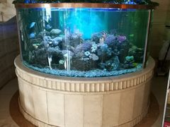 -碧中海汤泉汗蒸酒店