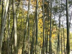 -石燕湖生态旅游景区