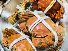 -黄记大闸蟹专卖店·活蟹·醉蟹