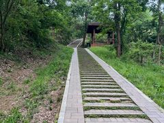-青龙山国家森林公园