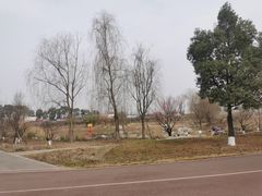 -白鹭湾湿地公园