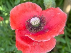 -前小桔亲子创意农场·草莓采摘·露营烧烤