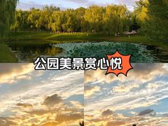 -莫子山公园
