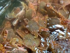 -羊栏农贸市场(羊新路店)