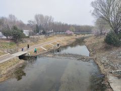 -金星公园