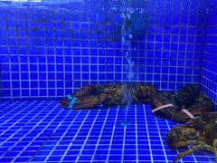 -香山湖渔家大院