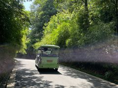 -中国大熊猫保护研究中心雅安碧峰峡基地