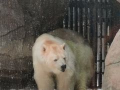 -海合安武汉极地海洋公园
