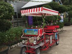 -广东花都香草世界旅游度假区