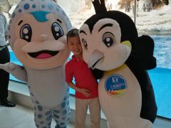 -帝企鹅自助餐厅•儿童岛•真企鹅(长隆企鹅酒店)