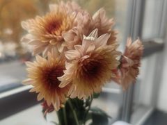 -沙漠玫瑰土耳其餐厅(神路街店)