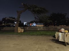 -武汉长江大桥