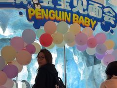 -帝企鹅自助餐厅•儿童岛•真企鹅(长隆企鹅酒店)