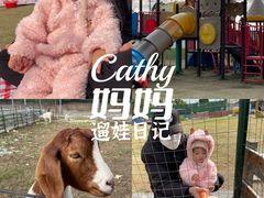 -菊园百果园