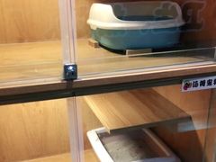 -汤姆宠物(长青北路店)