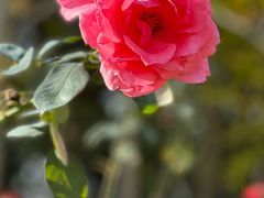 -狼山风景名胜区