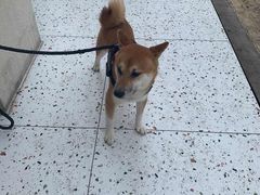 -那家面包房(珠江路店)