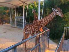 -泉州海丝野生动物世界