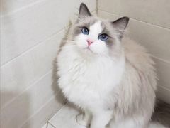 -太原东方动物医院(小店分院)