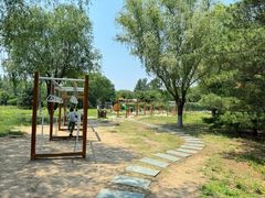 -大兴滨河森林公园