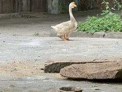 -长广溪湿地公园
