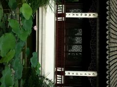 -辛玛王国游乐园